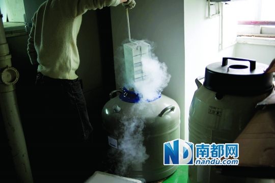 <p>    市二醫院，從患者血液中分離出的免疫細胞被存儲在液氮罐里。</p>